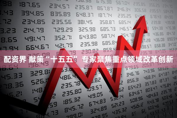 配资界 献策“十五五” 专家聚焦重点领域改革创新