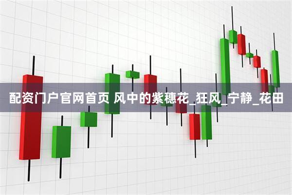 配资门户官网首页 风中的紫穗花_狂风_宁静_花田